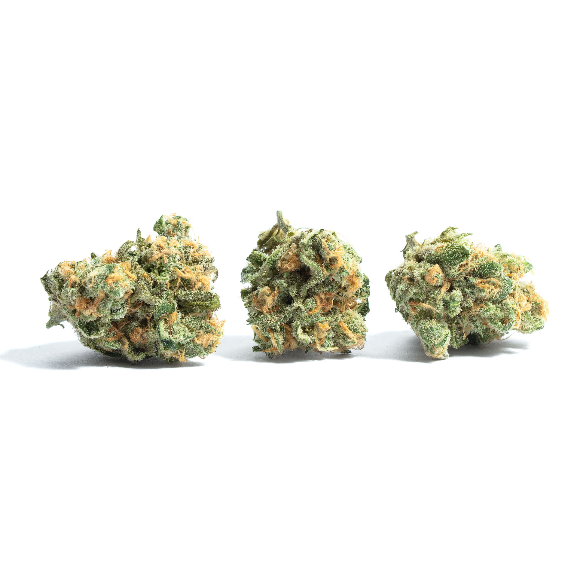 Golden Goat (Sativa) / 1